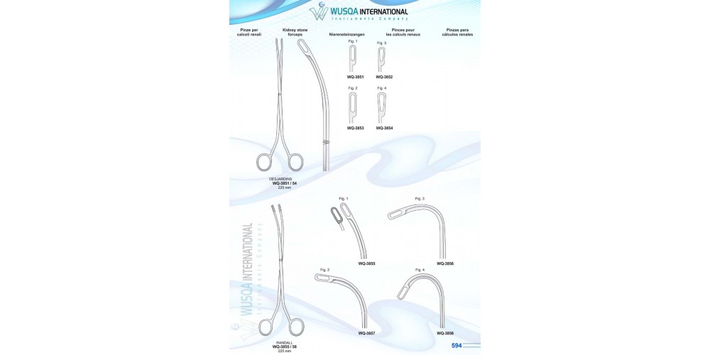 Kidney Stone Forceps 